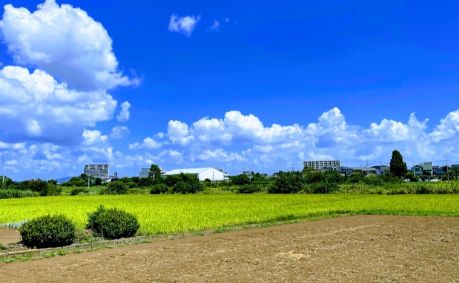 小学校の写真